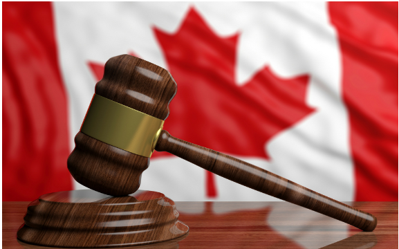 Immigration Lawyer Ottawa- A Team of Professional Lawyers.